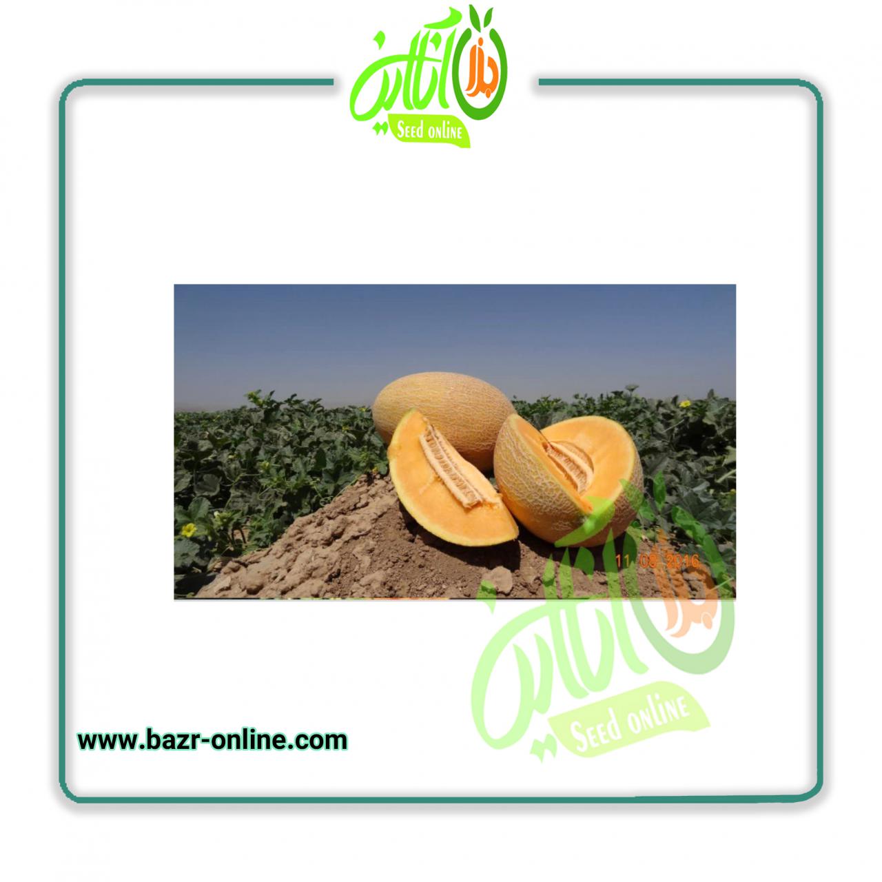 بذر خربزه کریر نانهمز