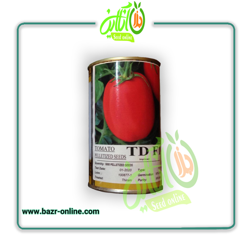بذر گوجه فرنگی تیدی