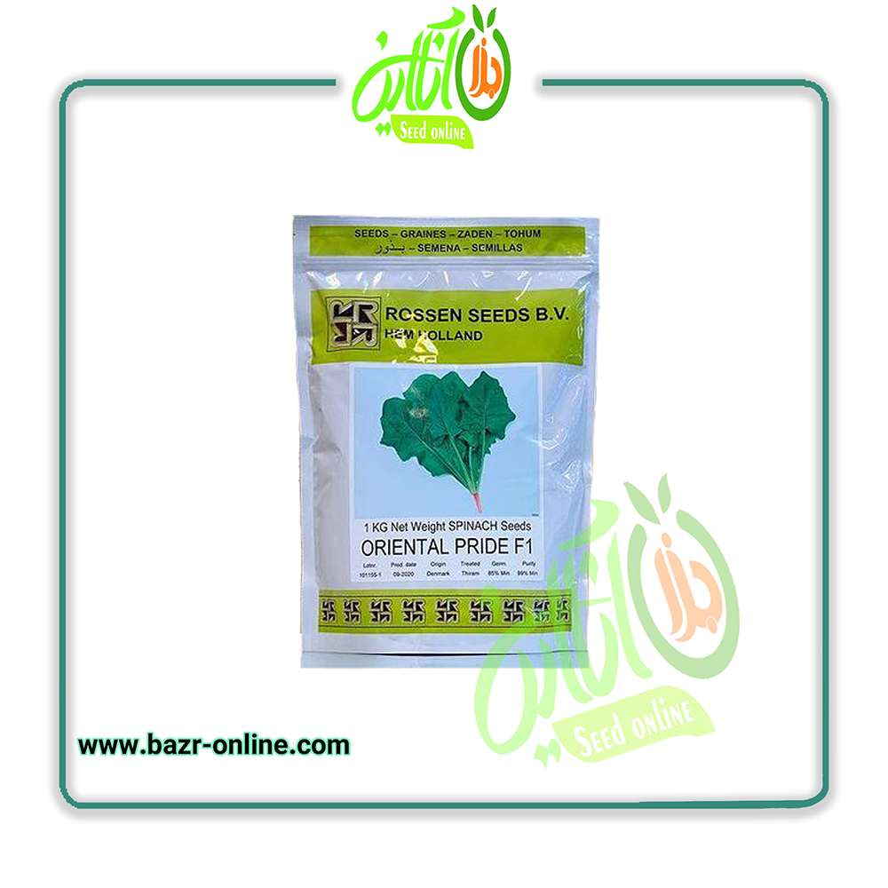 بذر اسفناج هیبرید اورینتال پراید روزن سید