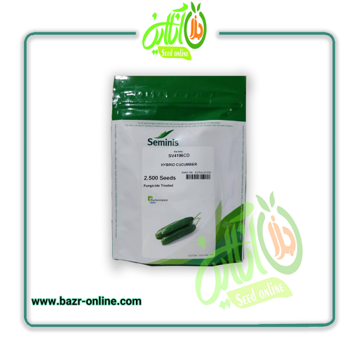 بذر خیار 4196 سمینیس