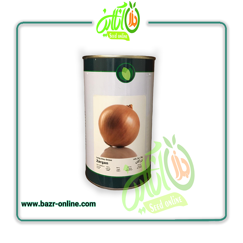 بذر پیاز زرگان