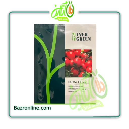 بذر گوجه فرنگی رویال