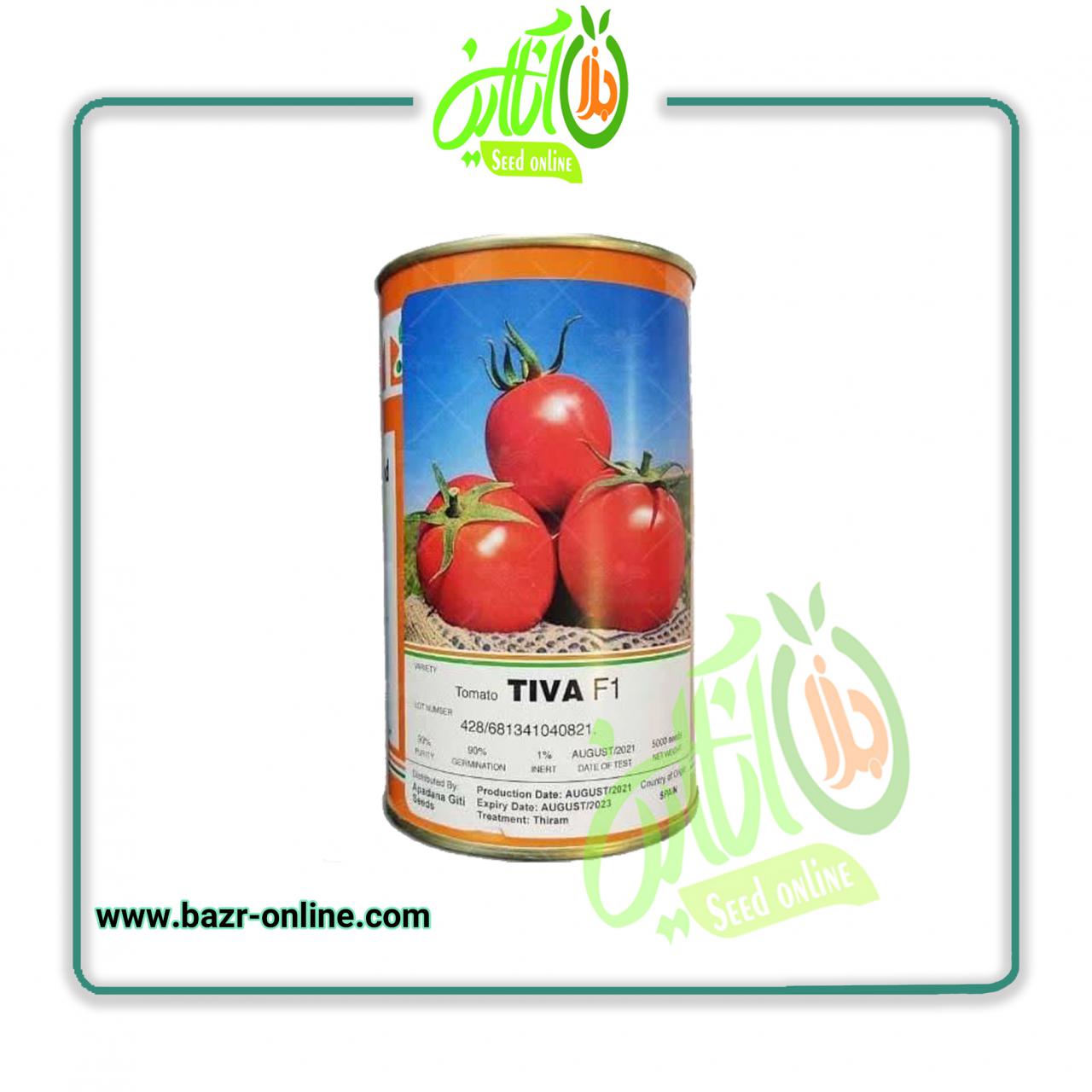 بذر گوجه فرنگی تیوا