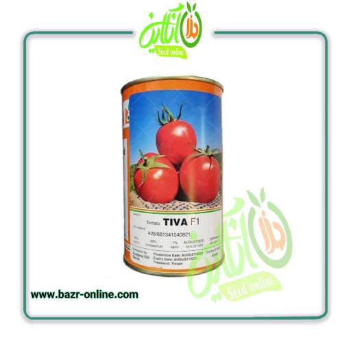 بذر گوجه فرنگی تیوا