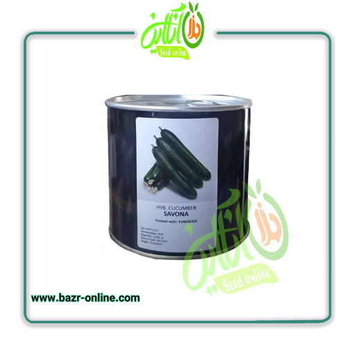 بذر خیار ساونا
