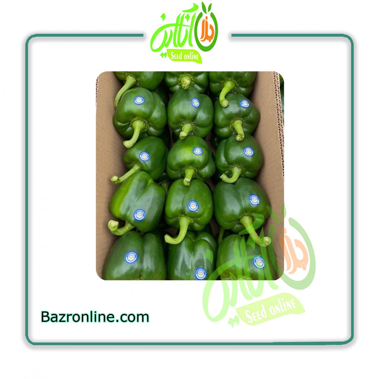 بذر فلفل دلمه 9325 سمینیس