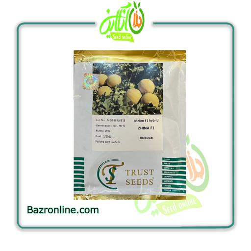 بذر ملون ژینا