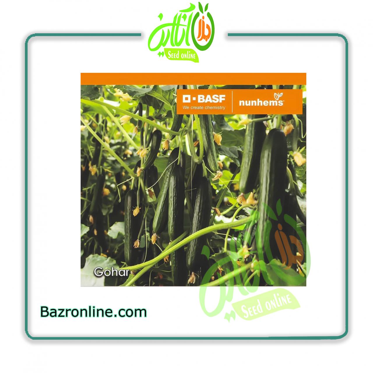 بذر خیار گلخانه ای گوهر