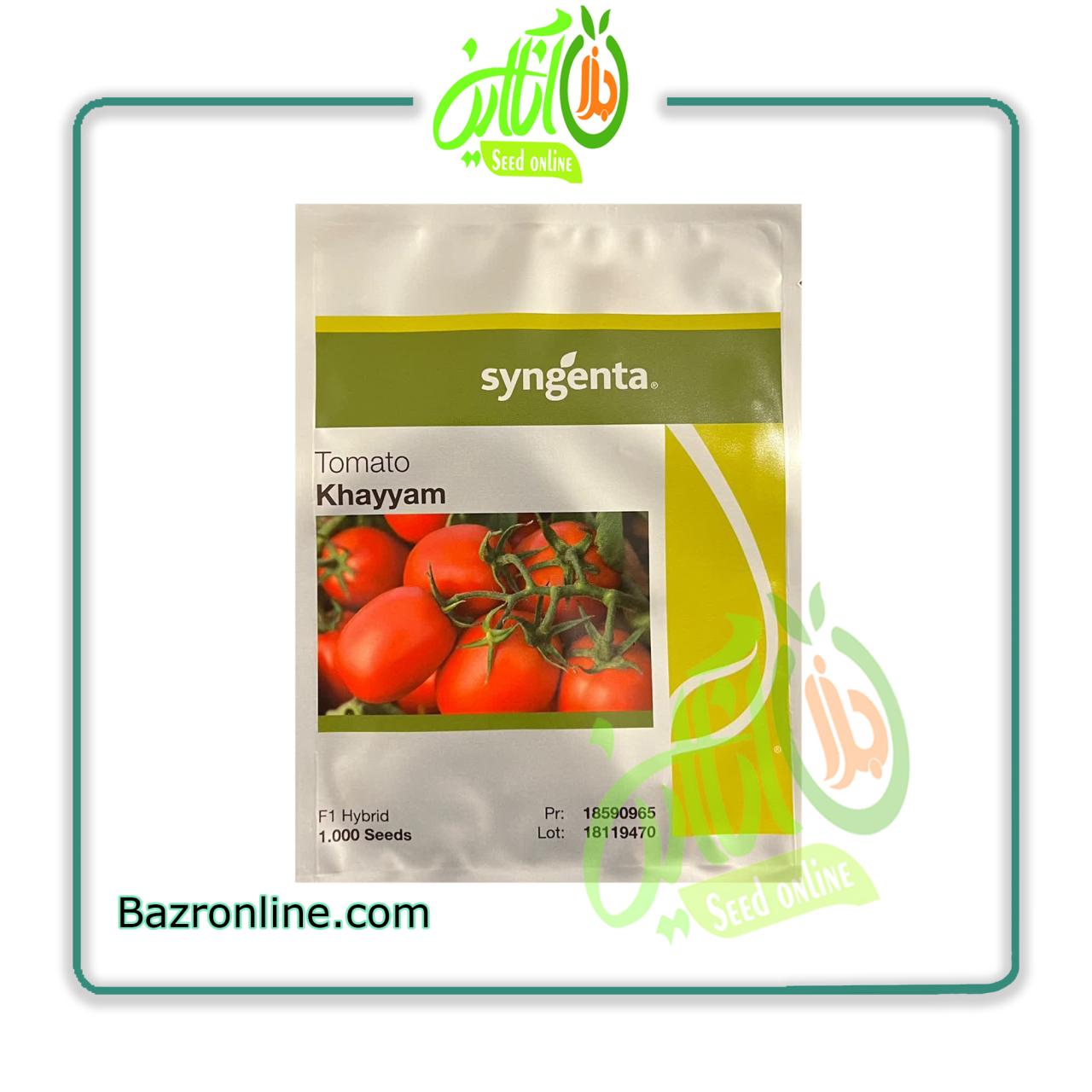 بذر گوجه فرنگی خیام