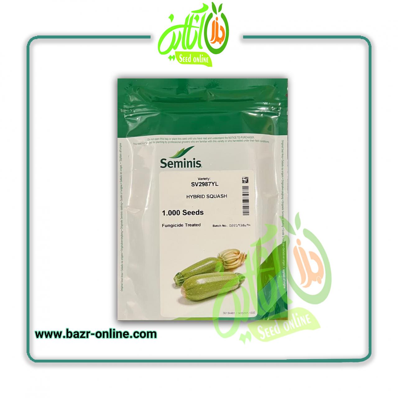 بذر کدو سبز هیبرید SV2987 سمینیس