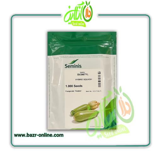 بذر کدو سبز هیبرید SV2987 سمینیس