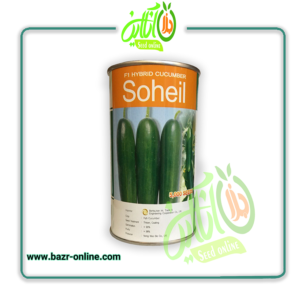 بذر خیار سهیل