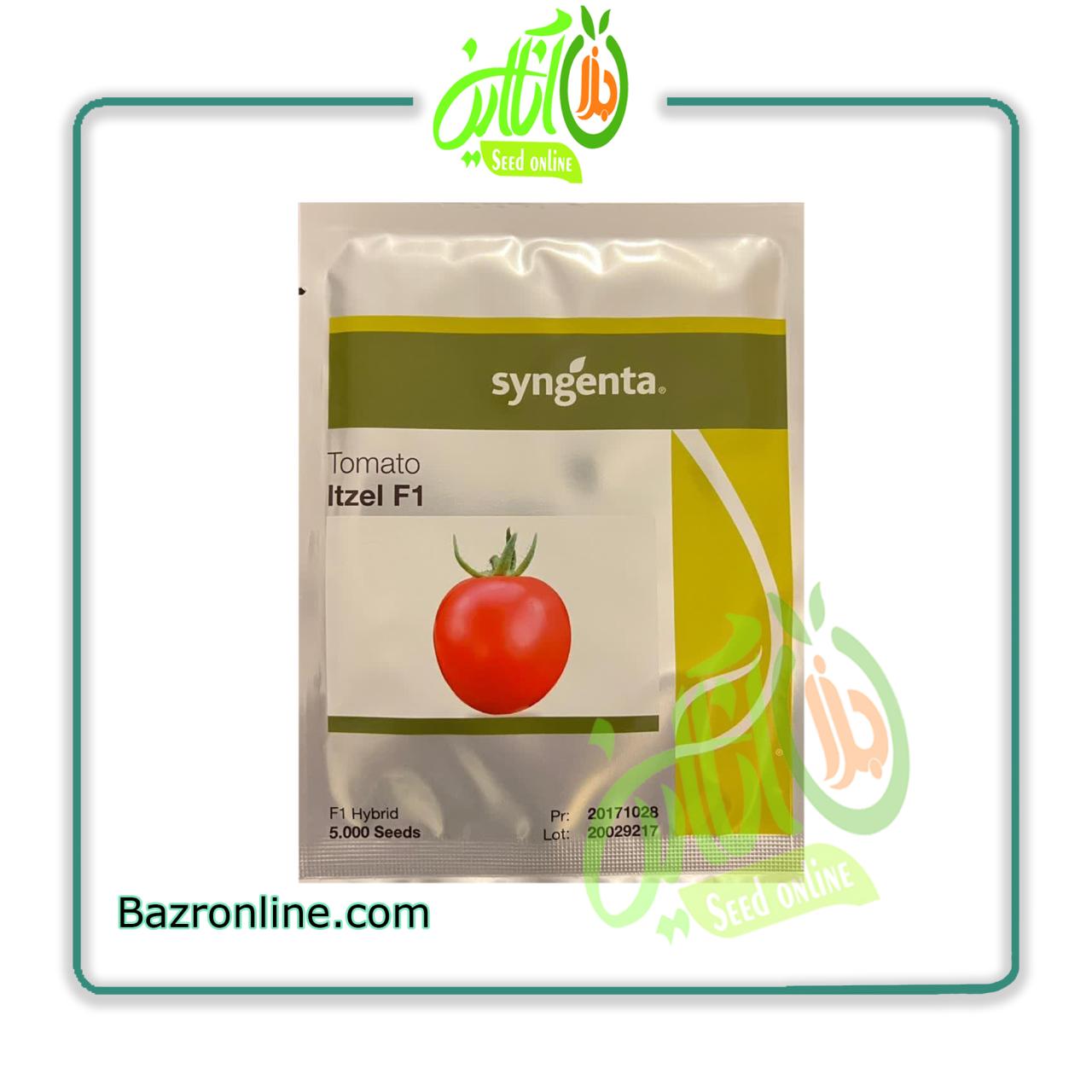 بذر گوجه فرنگی ایتزل