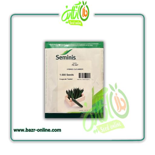 بذر خیار گلخانه ای PS 547 سمینیس